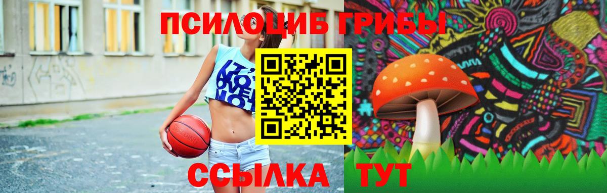 Псилоцибиновые грибы мицелий  Вход с VPN  Кемерово 